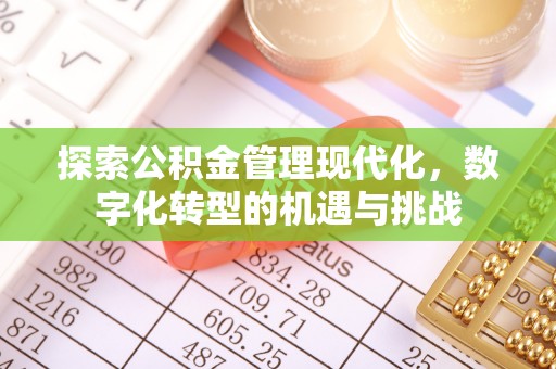 克孜勒苏探索公积金管理现代化，数字化转型的机遇与挑战