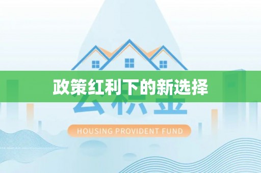 克孜勒苏政策红利下的新选择