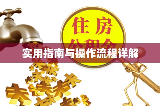 克孜勒苏实用指南与操作流程详解