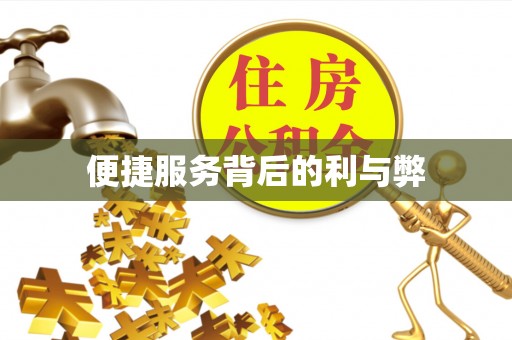 克孜勒苏便捷服务背后的利与弊