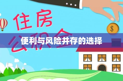 克孜勒苏便利与风险并存的选择