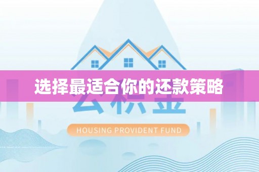 克孜勒苏选择最适合你的还款策略