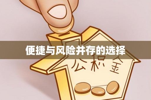 克孜勒苏便捷与风险并存的选择