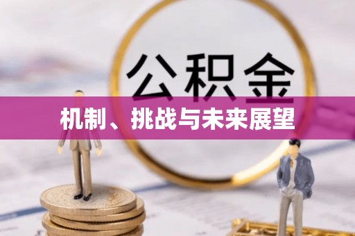 克孜勒苏机制、挑战与未来展望